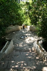 IMG_3266.JPG