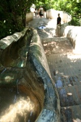 IMG_3270.JPG