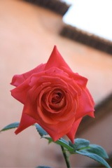 IMG_3446.JPG