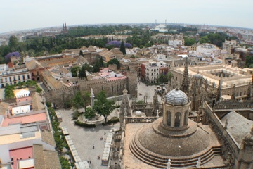 IMG_2205.JPG