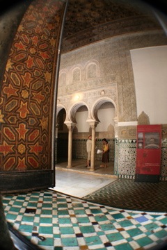 IMG_2270.JPG