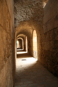 IMG_2463.JPG