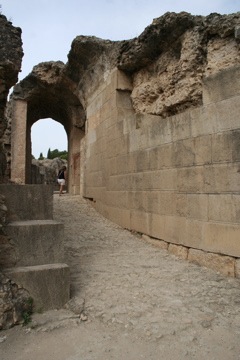 IMG_2465.JPG