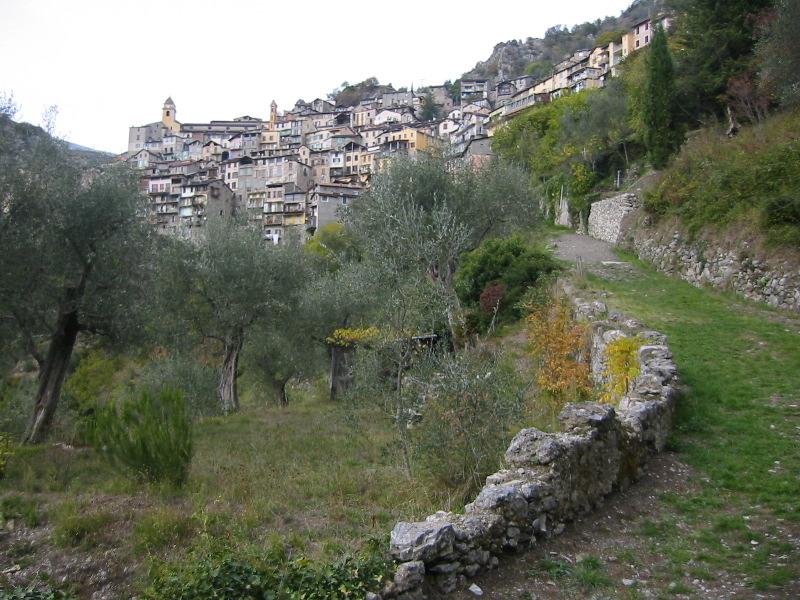 IMG_5763.JPG