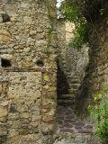 IMG_5740.JPG