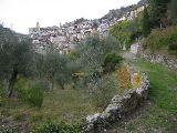 IMG_5763.JPG