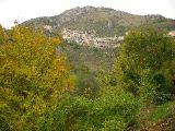 IMG_5767.JPG
