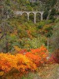 IMG_5776.JPG