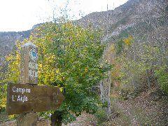 IMG_5651.JPG