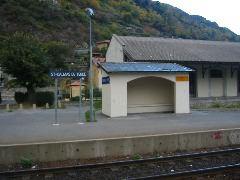 IMG_5683.JPG