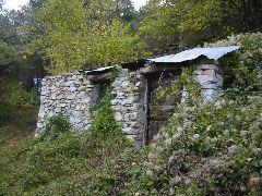 IMG_5654.JPG