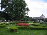 IMG_3525.JPG