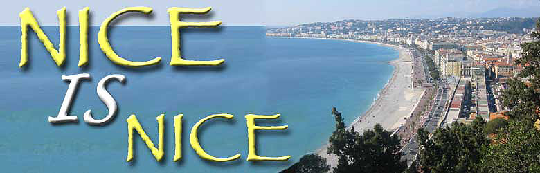NICE IS NICE Banner