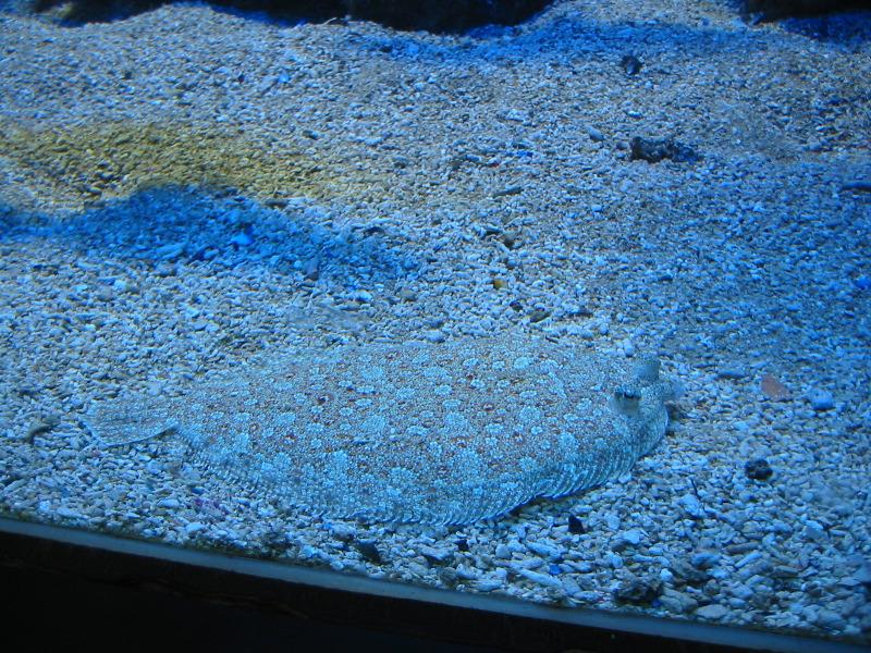 IMG_6060.JPG
