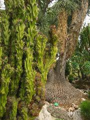 IMG_6006.JPG