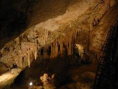 IMG_6017.JPG