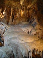 IMG_6018.JPG