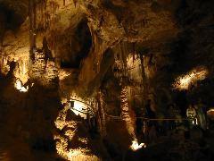 IMG_6021.JPG