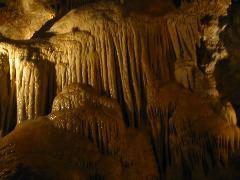 IMG_6027.JPG