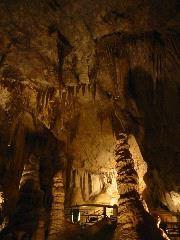 IMG_6028.JPG