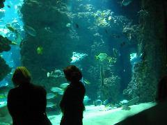 IMG_6055.JPG
