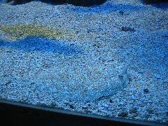 IMG_6060.JPG