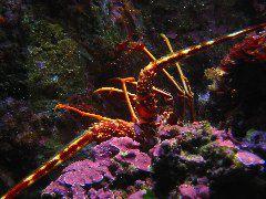 IMG_6061.JPG