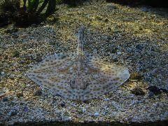 IMG_6062.JPG