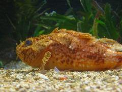 IMG_6063.JPG