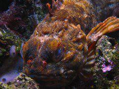 IMG_6065.JPG