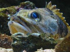IMG_6066.JPG