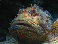 IMG_6067.JPG