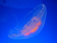 IMG_6072.JPG