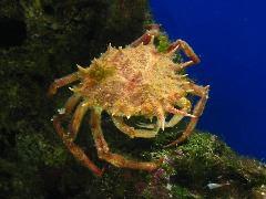 IMG_6073.JPG