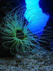IMG_6074.JPG