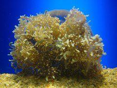 IMG_6082.JPG