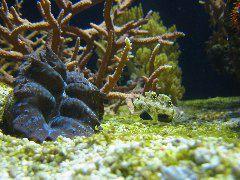 IMG_6085.JPG