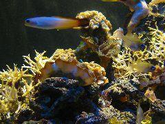 IMG_6087.JPG