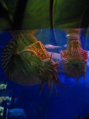 IMG_6088.JPG