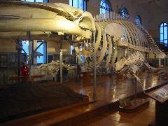 IMG_6089.JPG