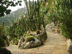 IMG_6011.JPG