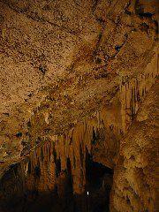 IMG_6016.JPG